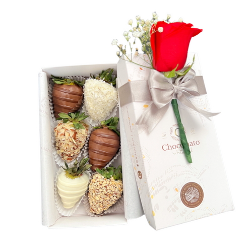 Little Box Especial